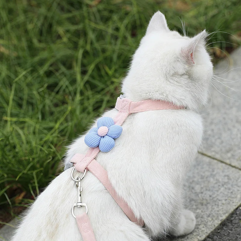 Ensemble harnais et laisse pour chat ou petit chien – Harnais réglable et respirant pour promenades