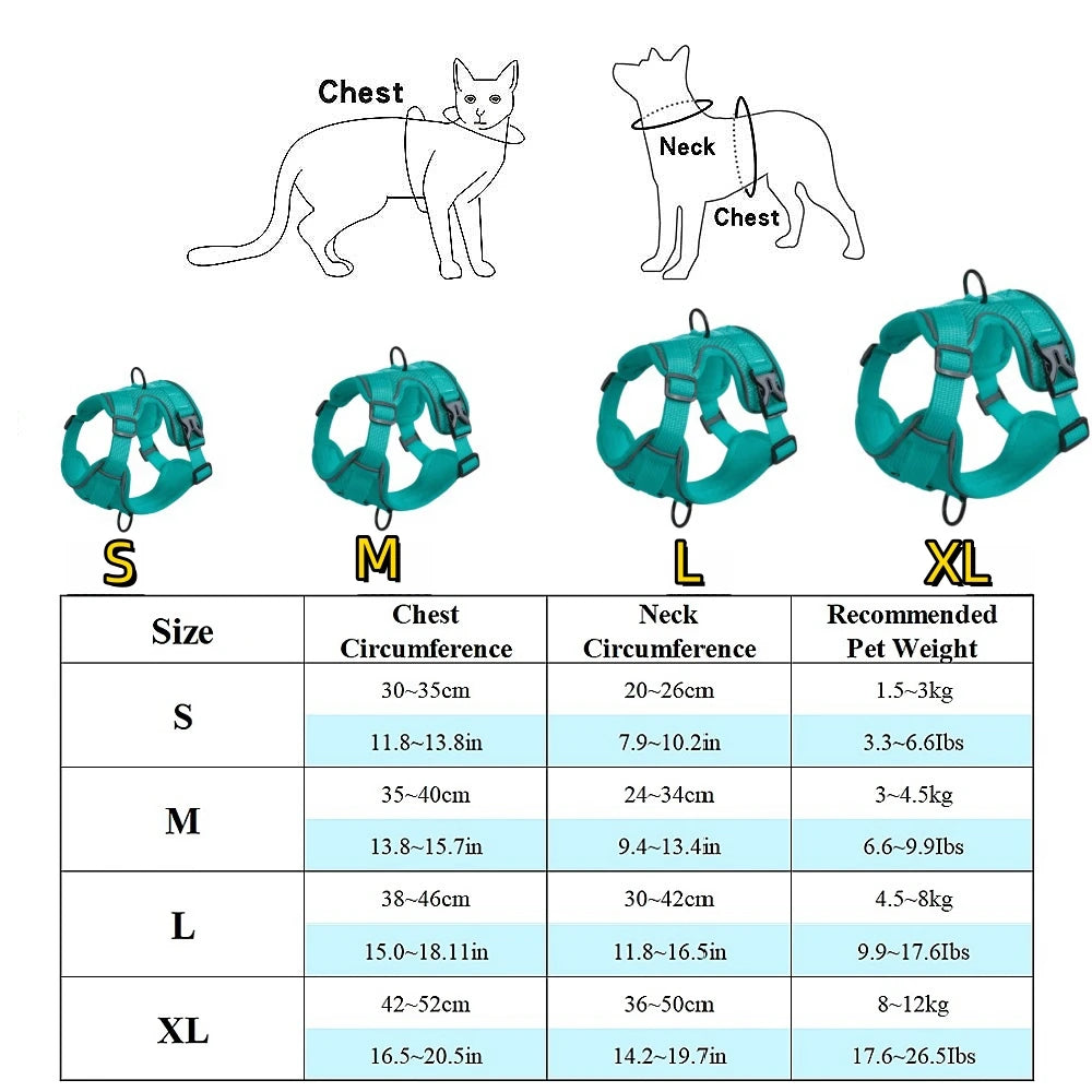 Ensemble harnais et laisse pour animaux – Harnais pour petits chiens