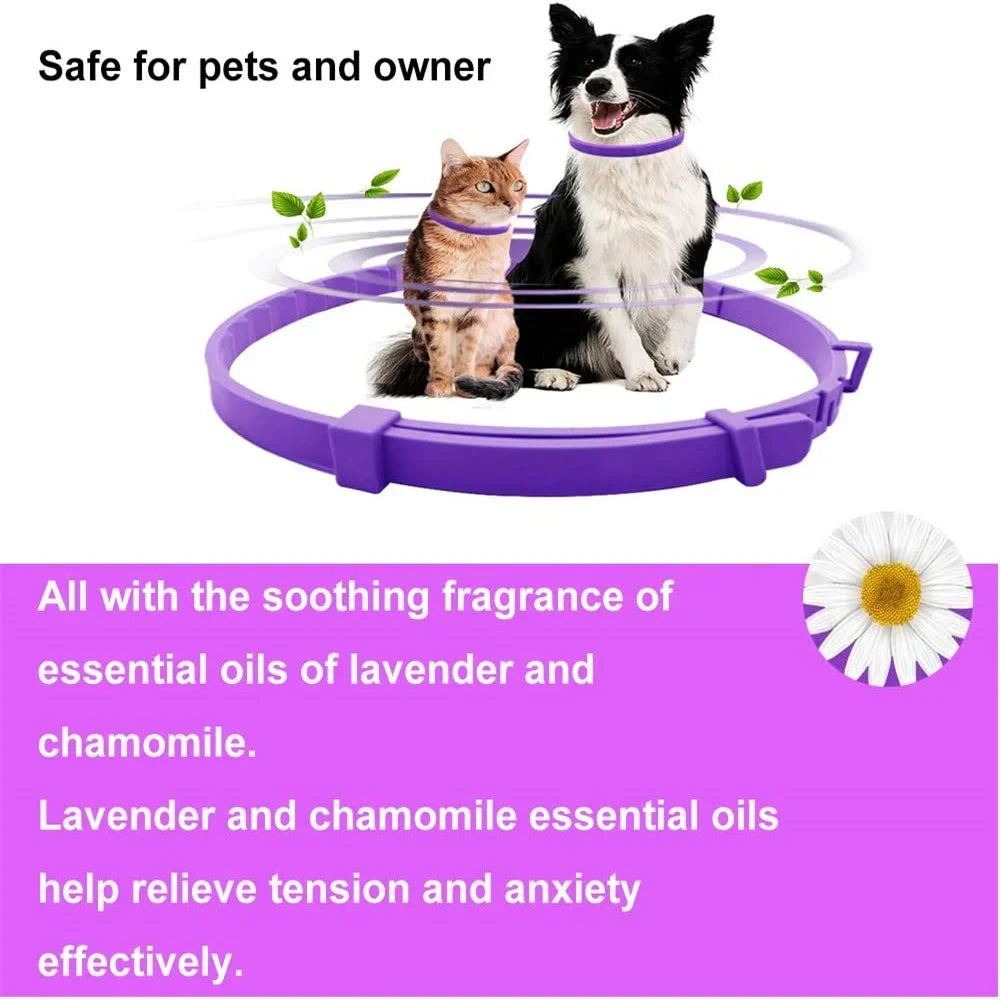 Collier apaisant aux phéromones pour chiens et chats – Réduit l'anxiété – Réglable, naturel et longue durée – Effet relaxant et apaisant