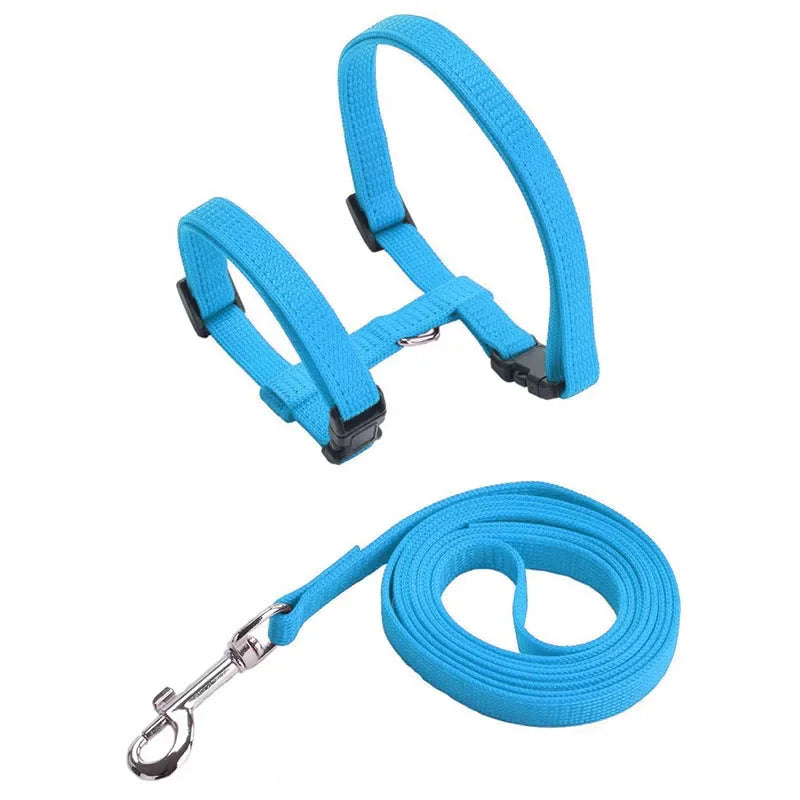 Ensemble harnais et laisse pour chaton – Harnais réglable en nylon anti-évasion pour chats, chiots et lapins – Accessoires pour animaux
