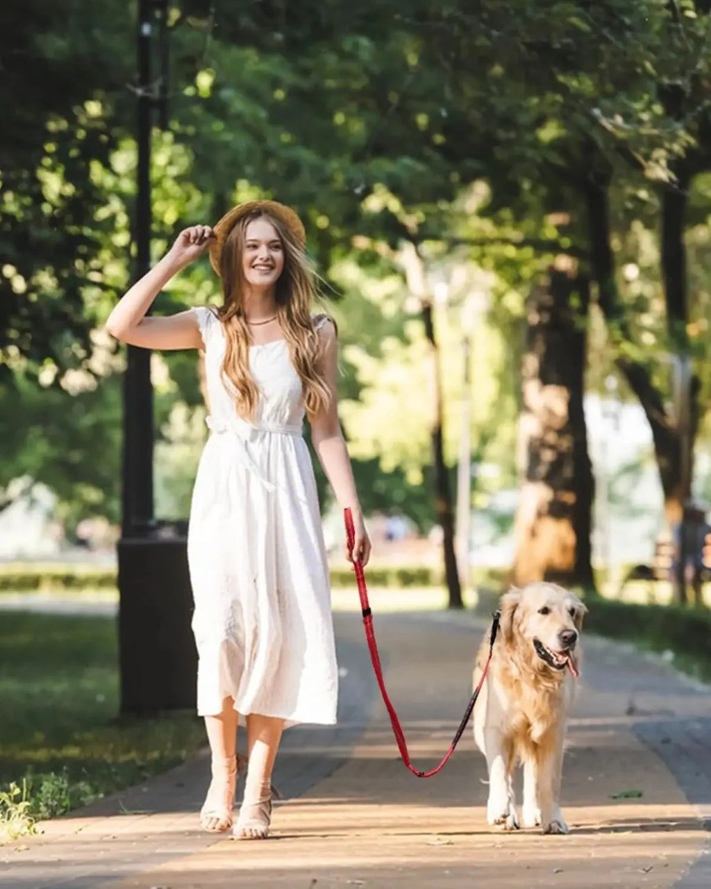 Laisse tactique pour chien ultra-résistante, extensible (1,2 à 1,8 m) avec système d'amortissement, dotée de 2 poignées rembourrées, d'un mousqueton en métal et d'une attache pour ceinture de sécurité de voiture