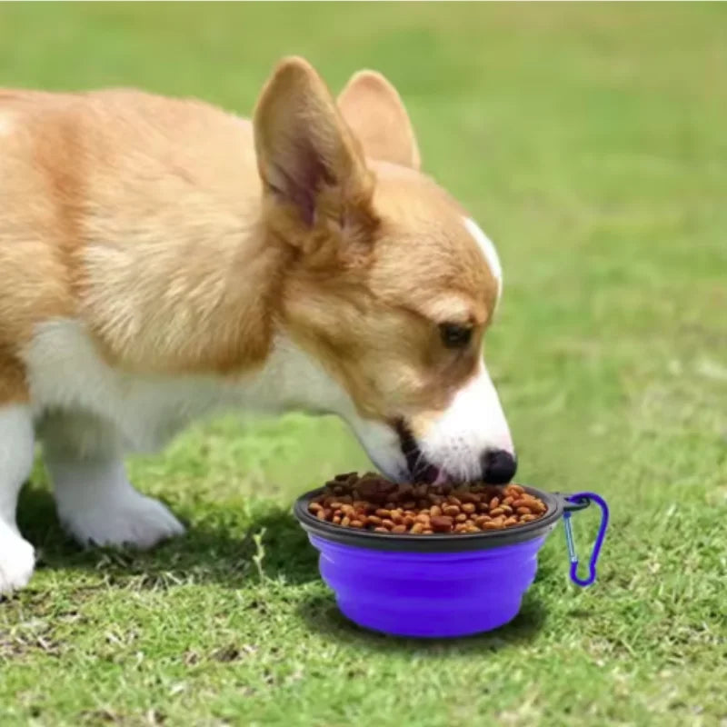 Gamelle portable et durable en TPR pour chiens et chats – Bol pliable en silicone pour l'eau et la nourriture, idéal pour les voyages et l'extérieur.