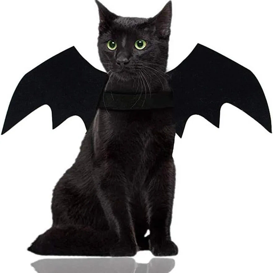 Vente en gros : Costume de cosplay mignon pour animal (chat/chien) – Ailes de chauve-souris noires avec sangle de sécurité – Accessoire pour jeux de rôle et décoration de fête d'Halloween.