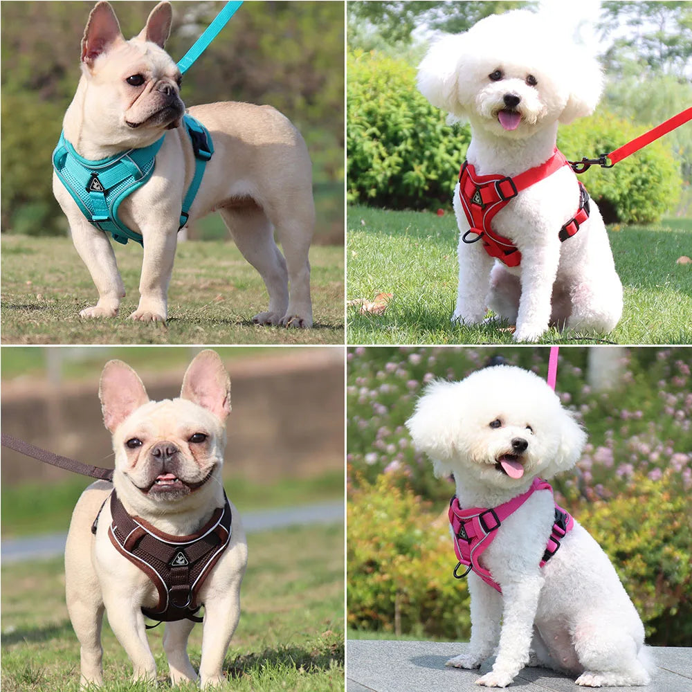 Ensemble harnais et laisse pour animaux – Harnais pour petits chiens