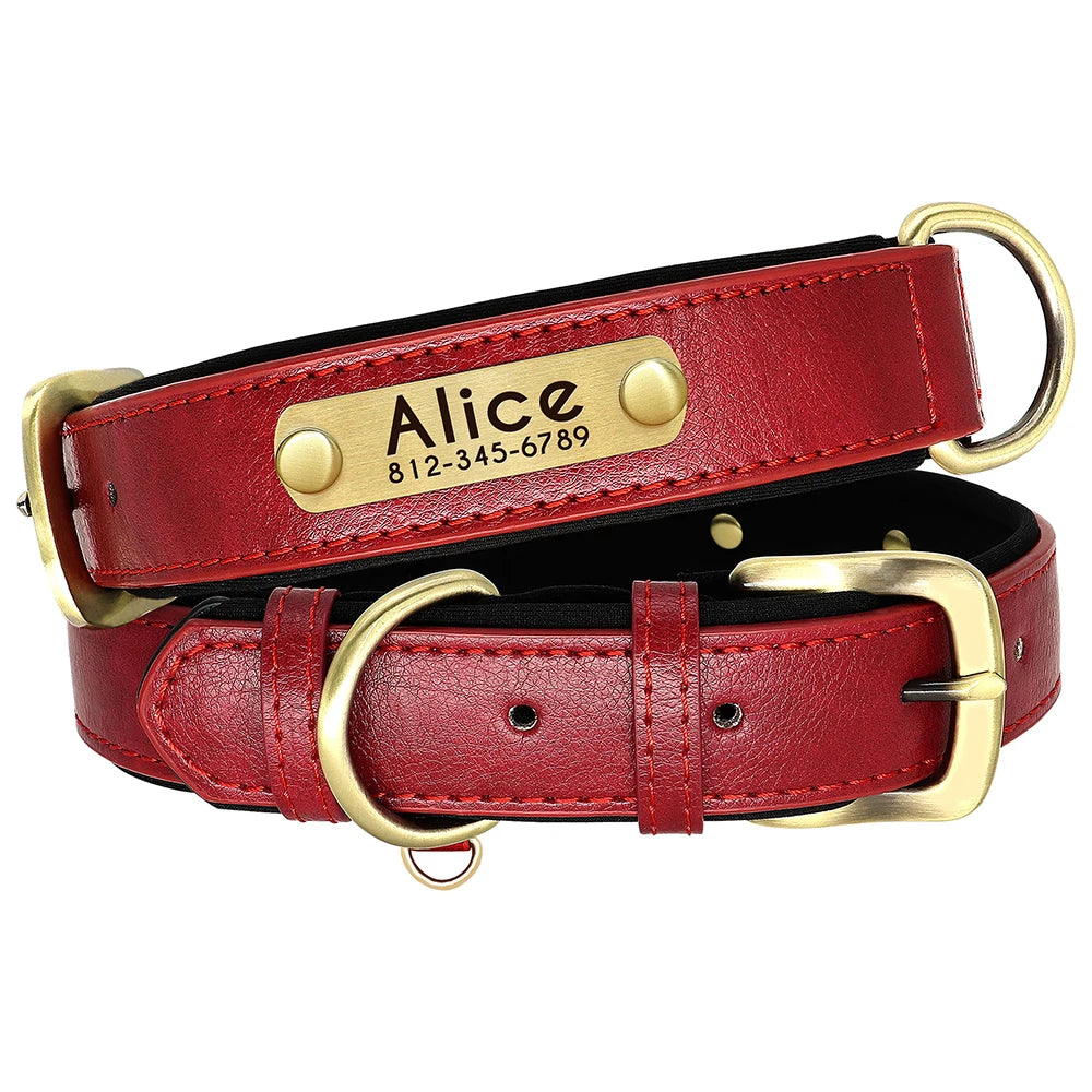 Ensemble collier et laisse en cuir personnalisés pour chien – Collier en cuir souple et rembourré pour chiens de petite, moyenne et grande taille – Plaque nominative gravée offerte