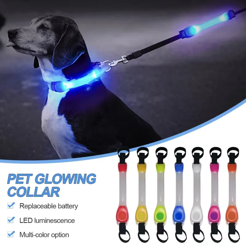 Collier de sécurité anti-perte pour chien avec pendentif lumineux multicolore, étanche, pour extérieur, avec bande lumineuse LED clignotante et accessoire de traction pour animaux de compagnie.