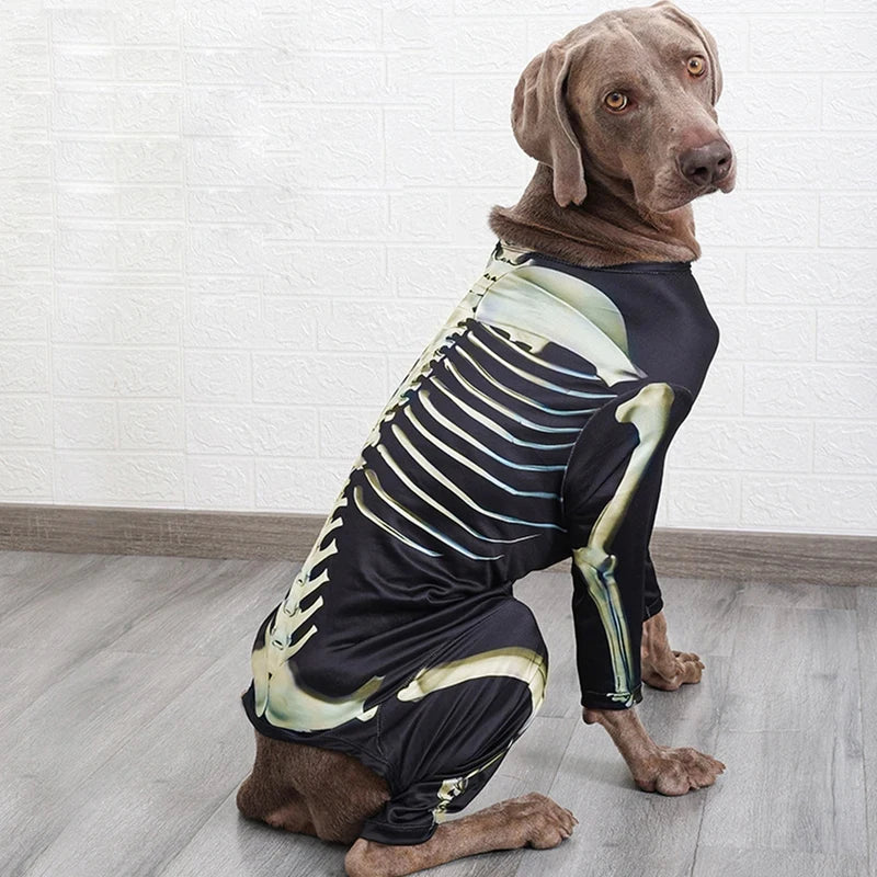 Costume d'Halloween pour chien – Tenue de transformation en squelette – Vêtement confortable et stylé pour grands chiens – Accessoires pour animaux