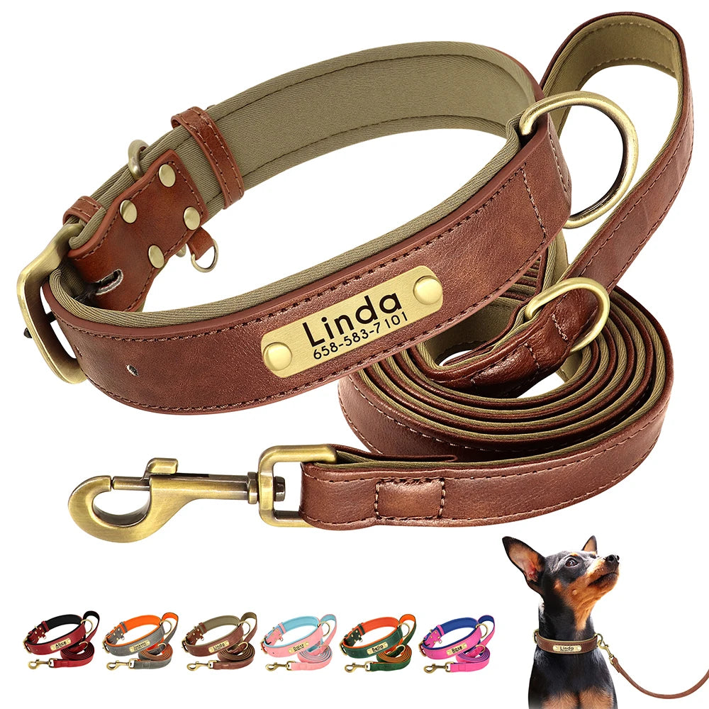 Ensemble collier et laisse en cuir personnalisés pour chien – Collier en cuir souple et rembourré pour chiens de petite, moyenne et grande taille – Plaque nominative gravée offerte