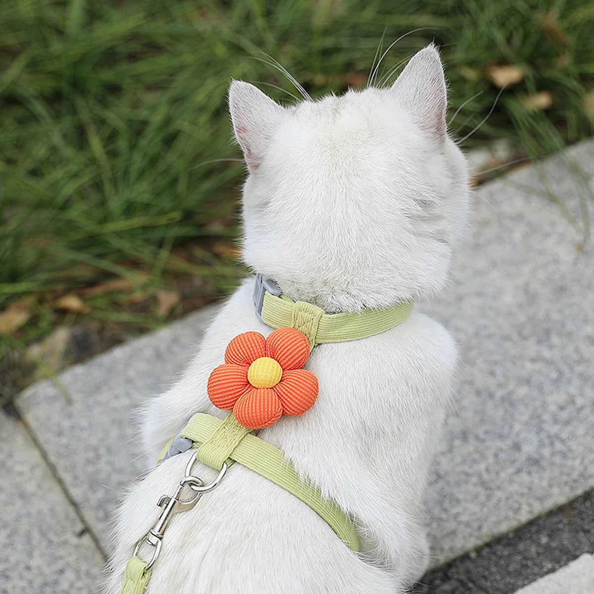Ensemble harnais et laisse pour chat ou petit chien – Harnais réglable et respirant pour promenades