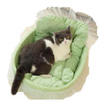 Adorable canapé-lit « princesse » pour animaux (chats/chiens) avec bordure en dentelle, adapté à toutes les saisons ; modèle ovale en peluche douce, lavable et déhoussable.