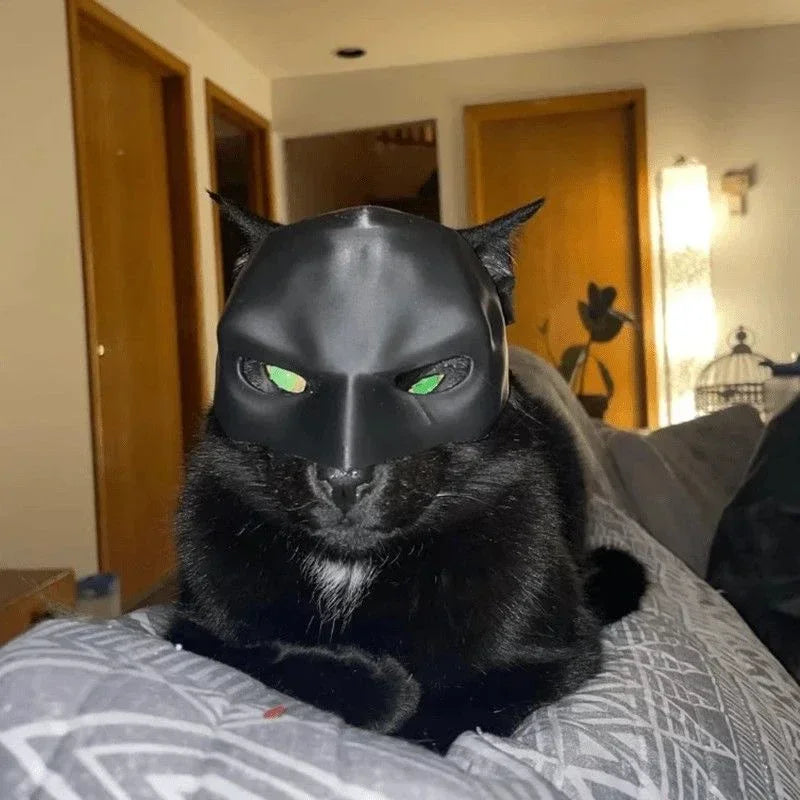 Masque de chat « Avenger » (style chauve-souris) pour Halloween – Accessoire de cosplay imprimé en 3D, jouet amusant, accessoire photo pour animaux