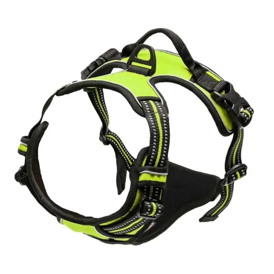 Colliers, harnais, laisses et accessoires pour chiens (toutes tailles) – Tout pour les chiens : cuir, modèles pour chiots, petits et grands chiens.
