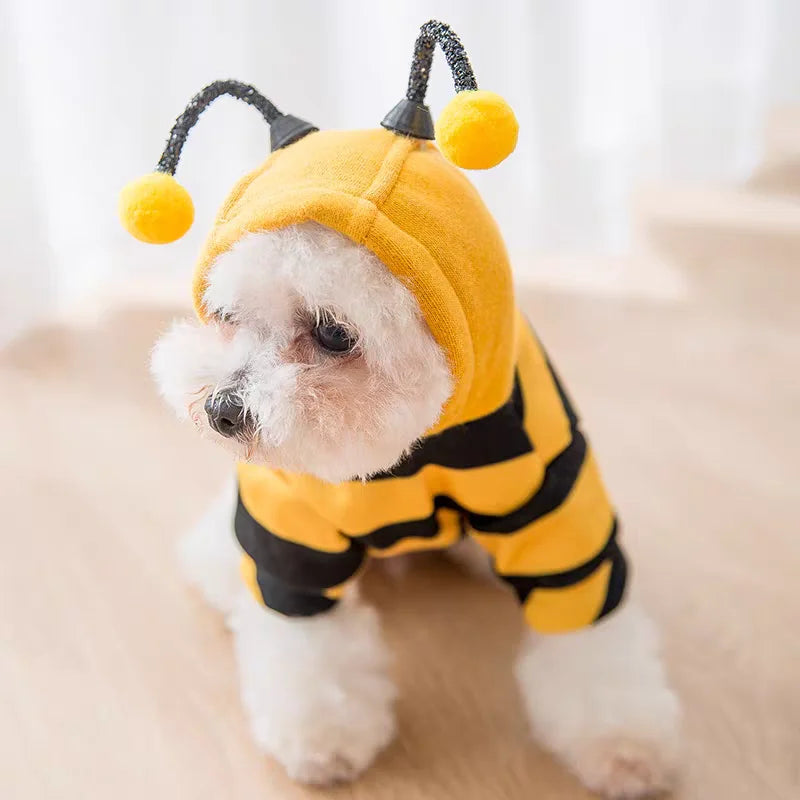 Costume d'Halloween pour animaux (chiens et chats) : sweat à capuche motif abeille – Tenue d'hiver pour petits et moyens animaux