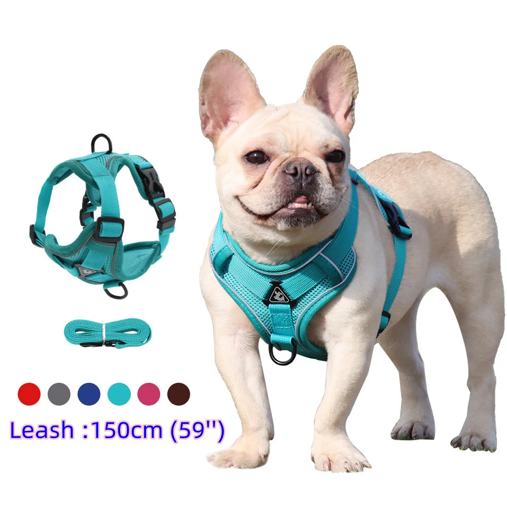 Ensemble harnais et laisse pour animaux – Harnais pour petits chiens