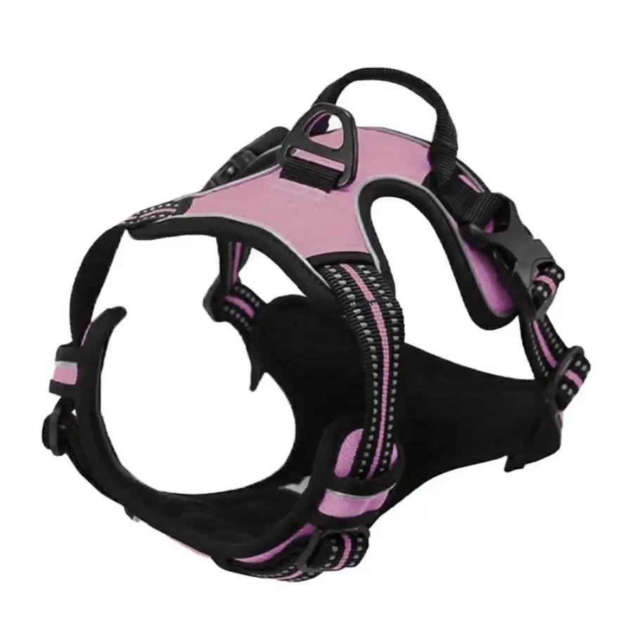 Colliers, harnais, laisses et accessoires pour chiens (toutes tailles) – Tout pour les chiens : cuir, modèles pour chiots, petits et grands chiens.