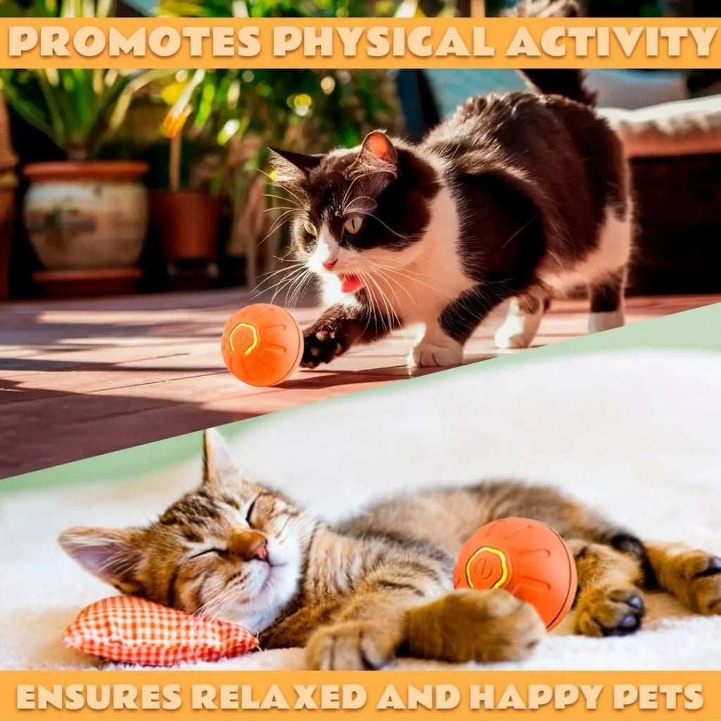Jouet interactif pour animaux : balle électrique intelligente à rebond automatique (activée par gravité) pour chiens et chats