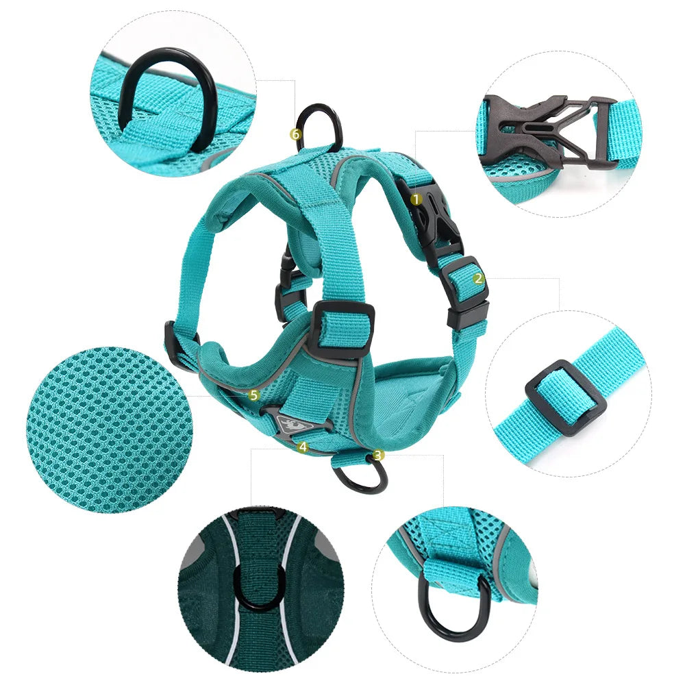 Ensemble harnais et laisse pour animaux – Harnais pour petits chiens