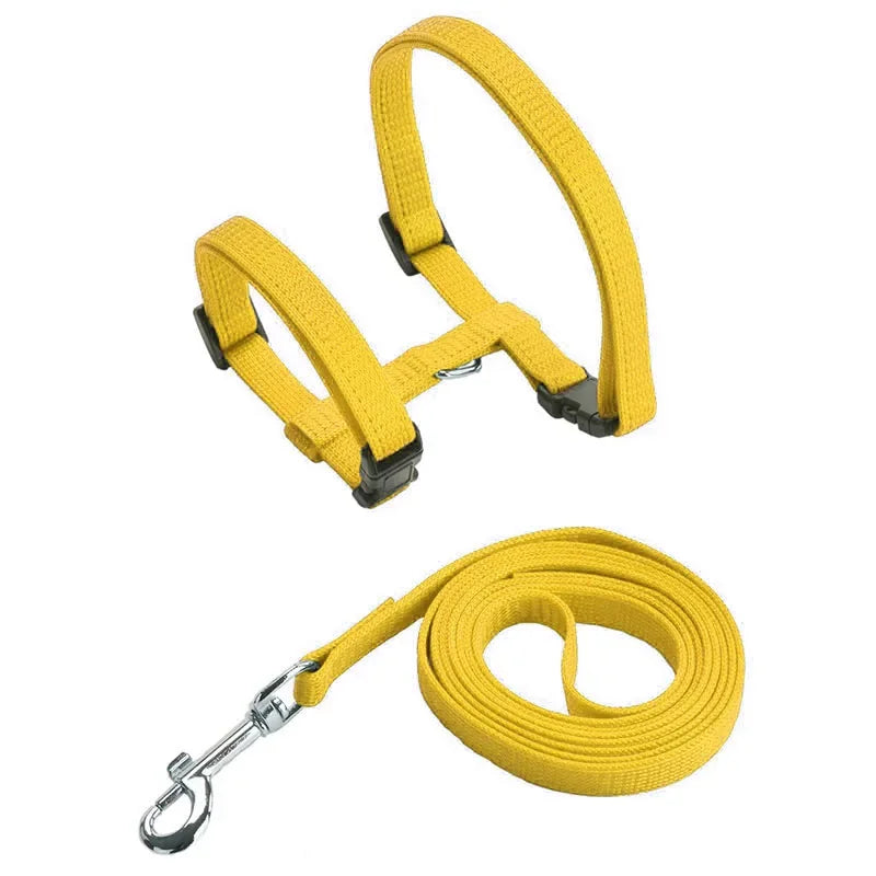 Ensemble harnais et laisse pour chaton – Harnais réglable en nylon anti-évasion pour chats, chiots et lapins – Accessoires pour animaux