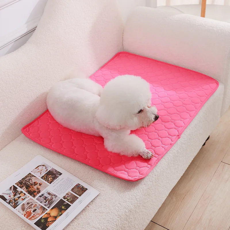 Alèse absorbante et réutilisable pour chien – Tapis d'apprentissage de la propreté lavable, tapis de sol ou protection de siège auto pour animaux