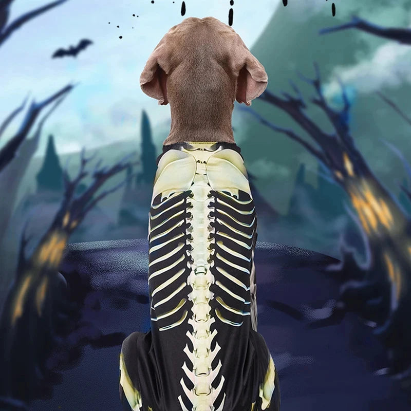 Costume d'Halloween pour chien – Tenue de transformation en squelette – Vêtement confortable et stylé pour grands chiens – Accessoires pour animaux