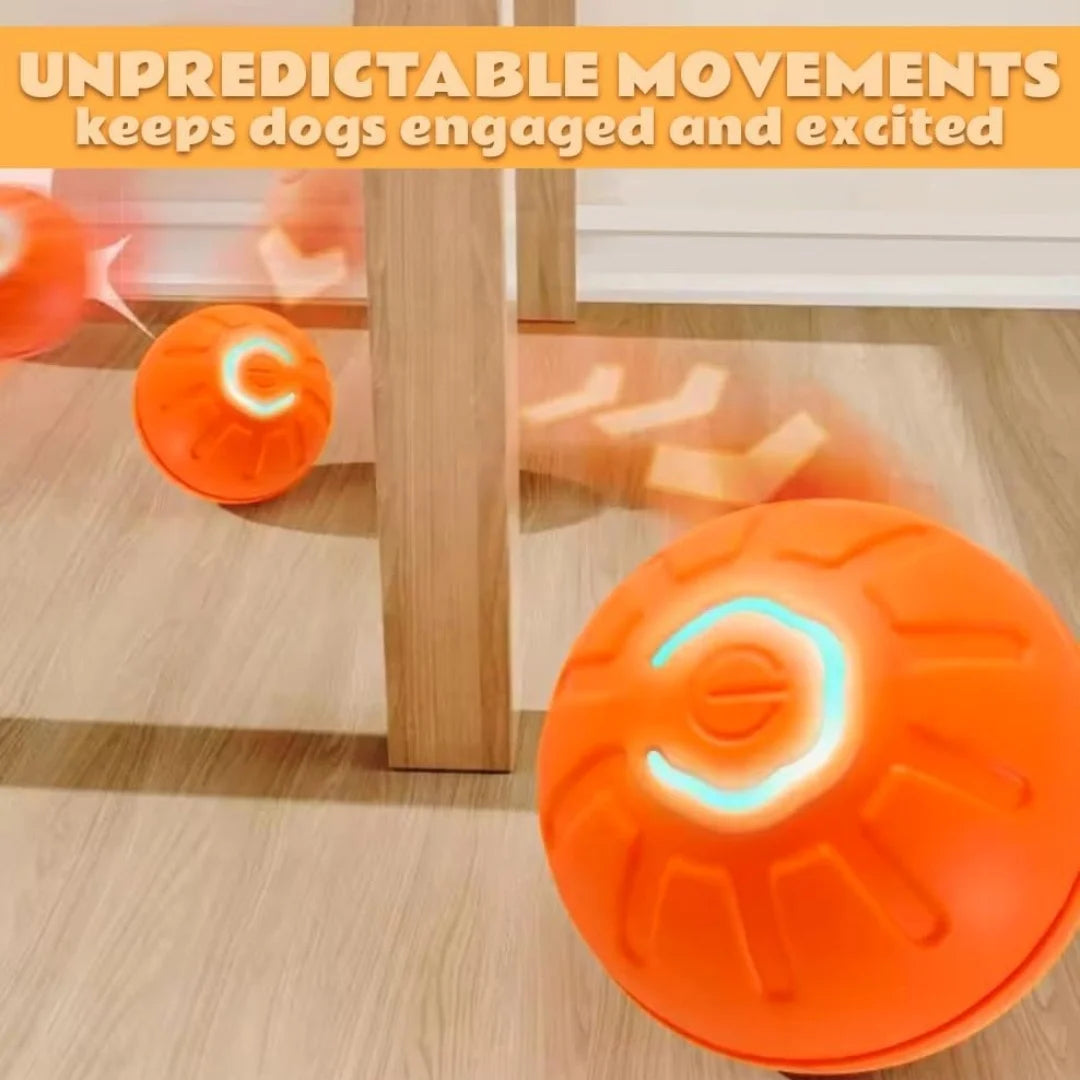 Jouet interactif pour animaux : balle électrique intelligente à rebond automatique (activée par gravité) pour chiens et chats