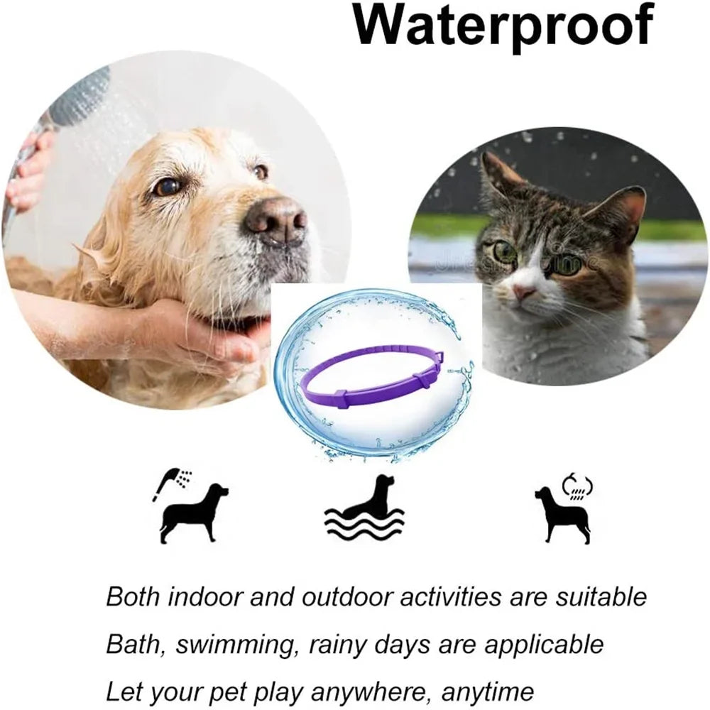 Collier apaisant aux phéromones pour chiens et chats – Réduit l'anxiété – Réglable, naturel et longue durée – Effet relaxant et apaisant