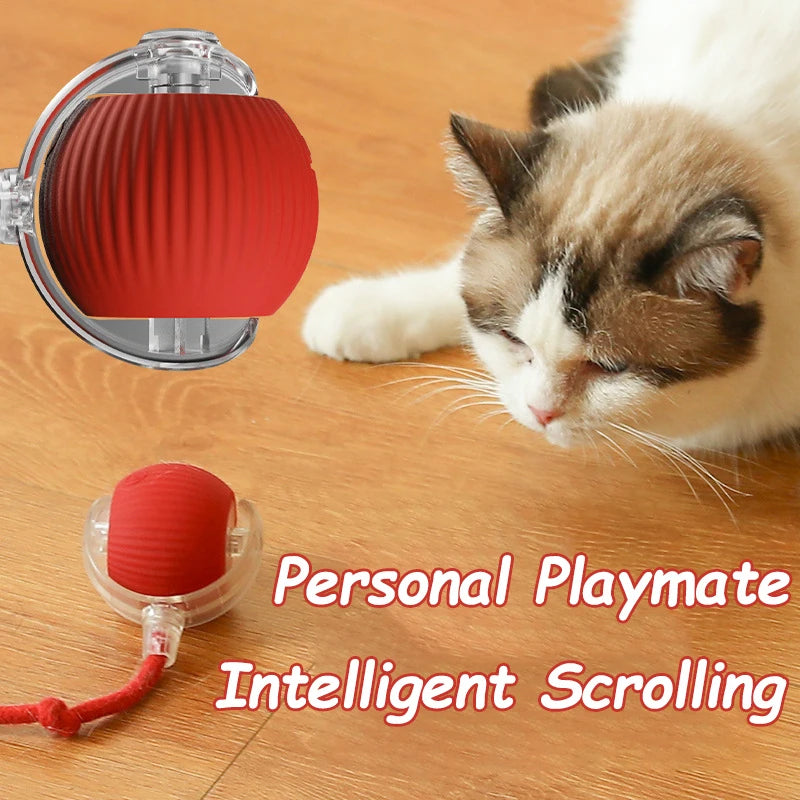 Nouveau jouet interactif pour chat : balle roulante automatique avec queue artificielle, rechargeable et intelligente, idéale pour le dressage des chiens et des chats (imite une souris)