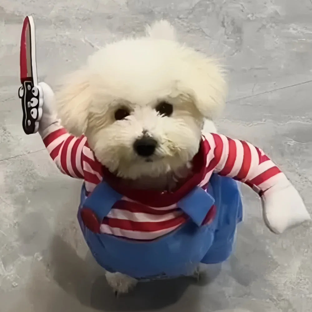 Déguisement d'Halloween amusant pour animaux (chiens et chats) – Pull pour chiot ou petit/moyen/grand chien – Tenue de cosplay pour fête ou soirée costumée