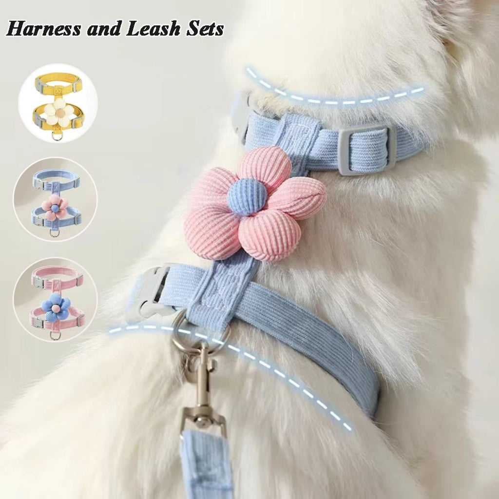 Ensemble harnais et laisse pour chat ou petit chien – Harnais réglable et respirant pour promenades
