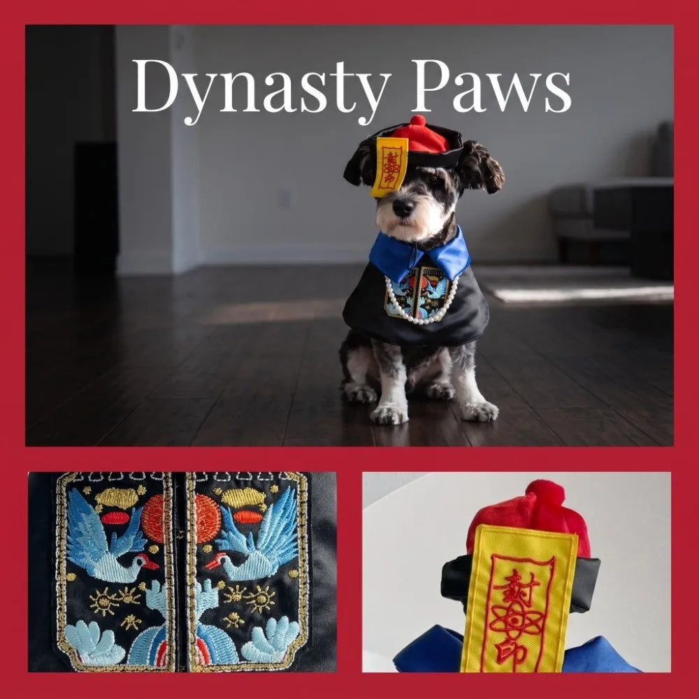 Accessoires pour animaux : vêtements d'Halloween mignons pour chiens, costume décoratif et original, tenue de zombie amusante (3 tailles disponibles).