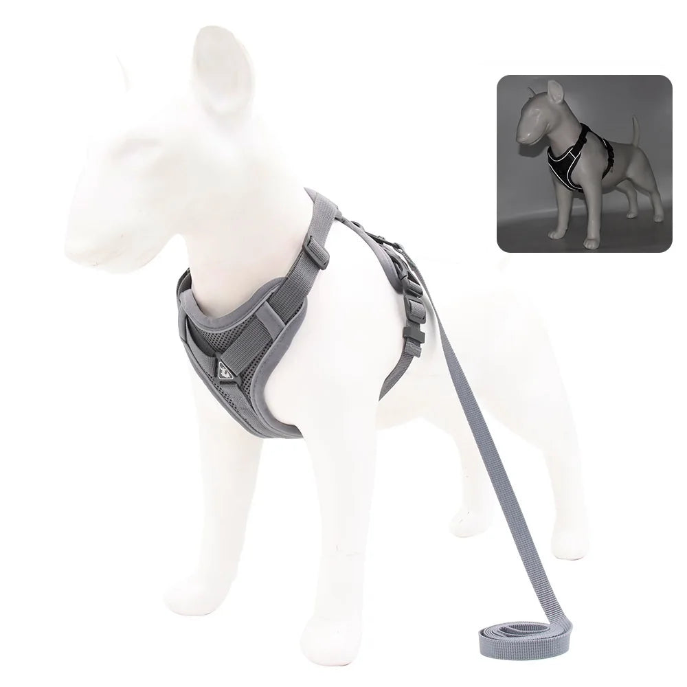 Ensemble harnais et laisse pour animaux – Harnais pour petits chiens