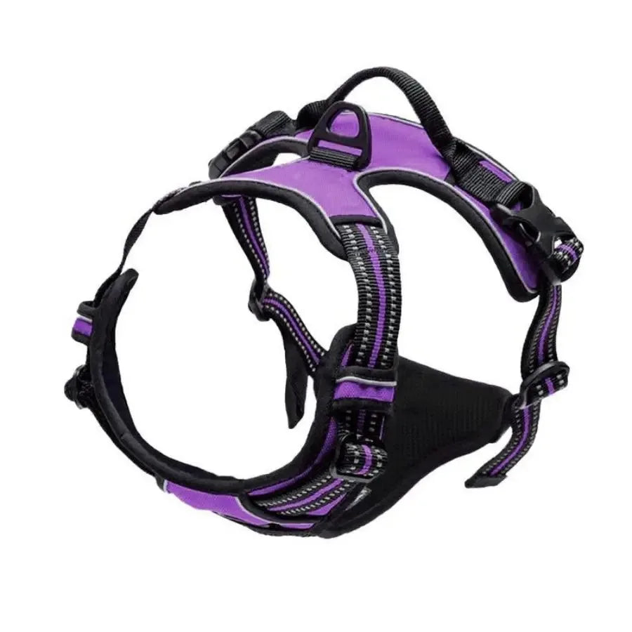Colliers, harnais, laisses et accessoires pour chiens (toutes tailles) – Tout pour les chiens : cuir, modèles pour chiots, petits et grands chiens.