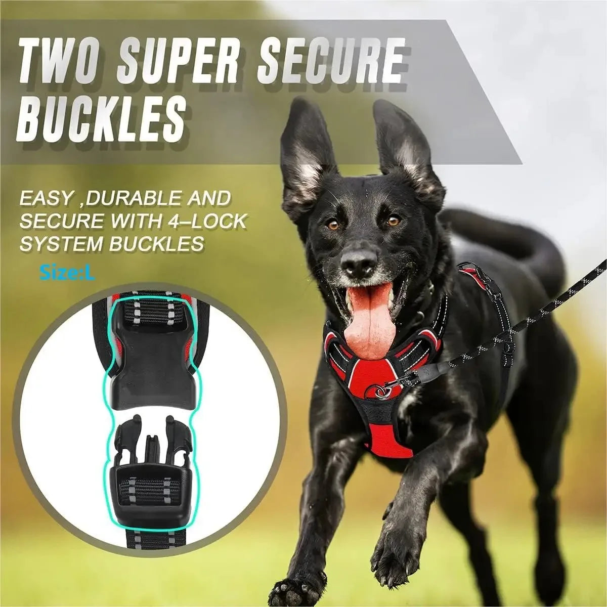 Colliers, harnais, laisses et accessoires pour chiens (toutes tailles) – Tout pour les chiens : cuir, modèles pour chiots, petits et grands chiens.