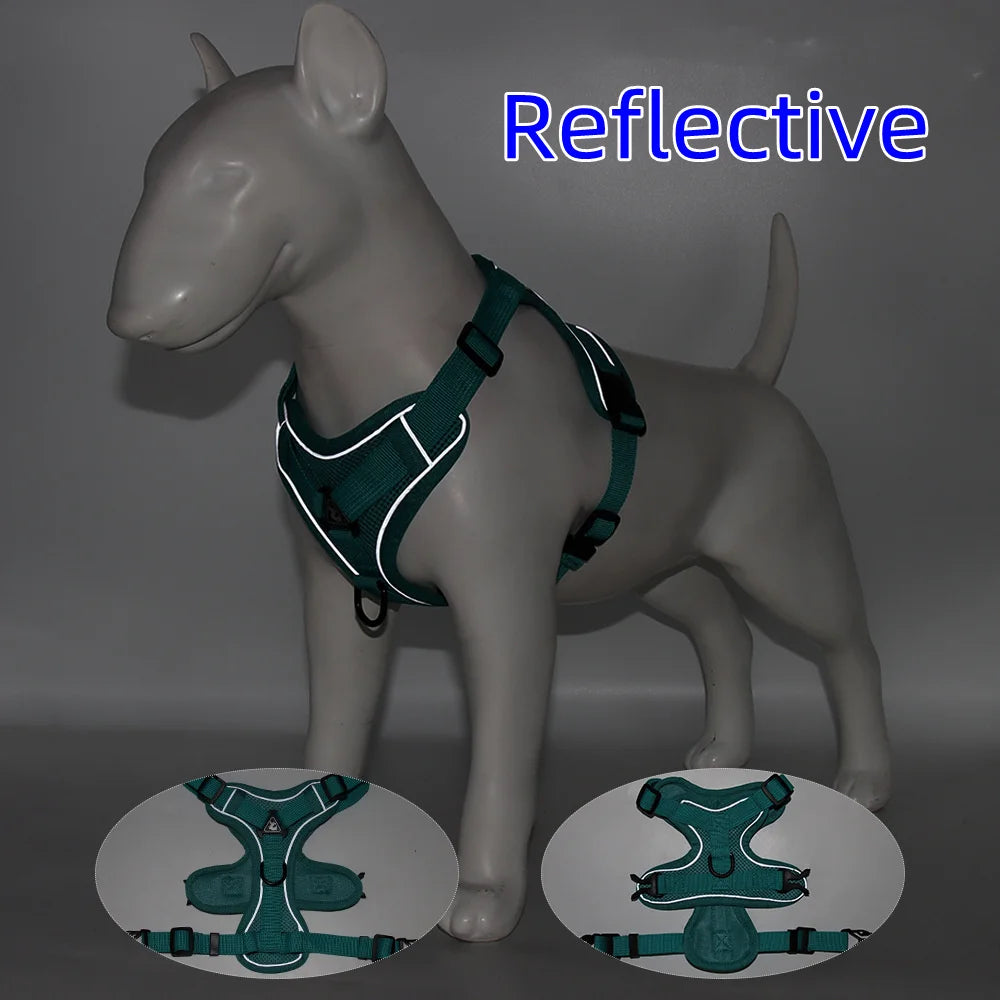 Ensemble harnais et laisse pour animaux – Harnais pour petits chiens