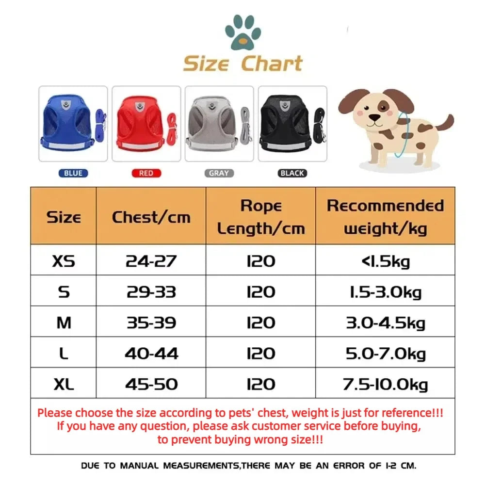 Ensemble harnais et laisse pour chat – Réglable, réfléchissant et anti-évasion – Harnais-gilet en maille respirante, collier pour chiot ou petit chien – Accessoires pour animaux