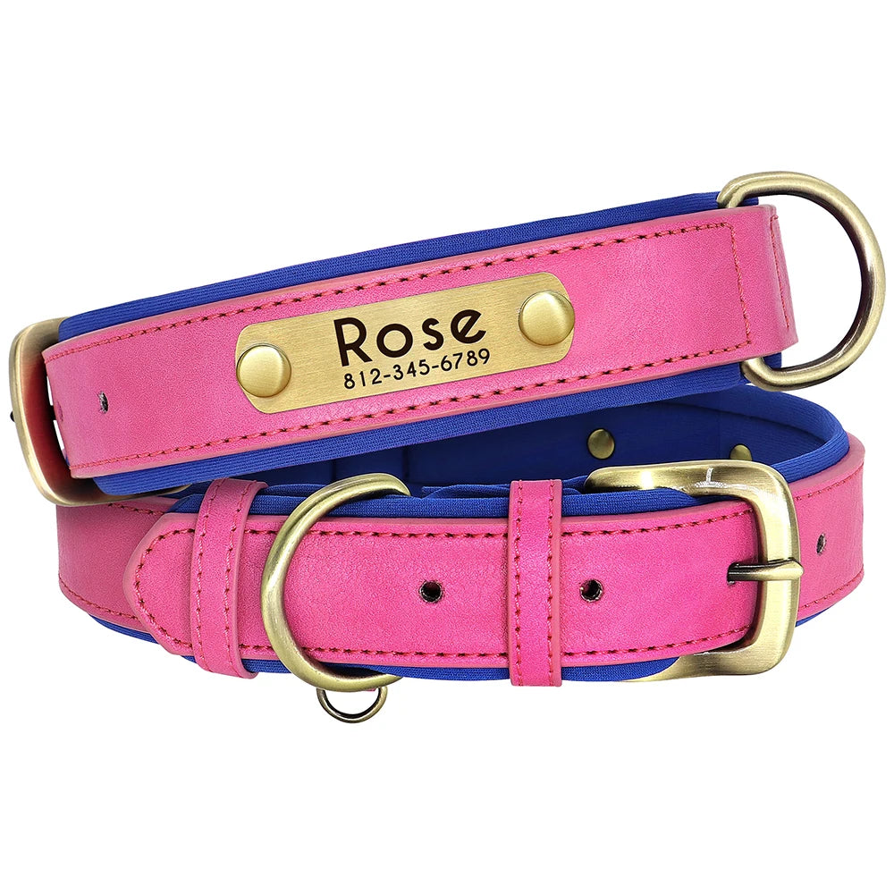 Ensemble collier et laisse en cuir personnalisés pour chien – Collier en cuir souple et rembourré pour chiens de petite, moyenne et grande taille – Plaque nominative gravée offerte