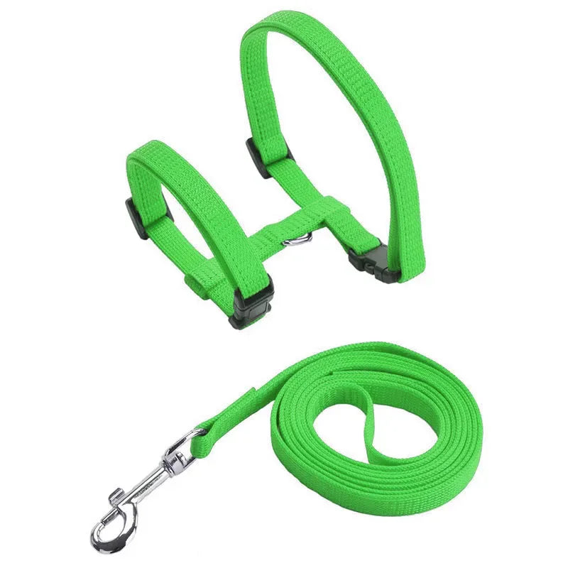 Ensemble harnais et laisse pour chaton – Harnais réglable en nylon anti-évasion pour chats, chiots et lapins – Accessoires pour animaux