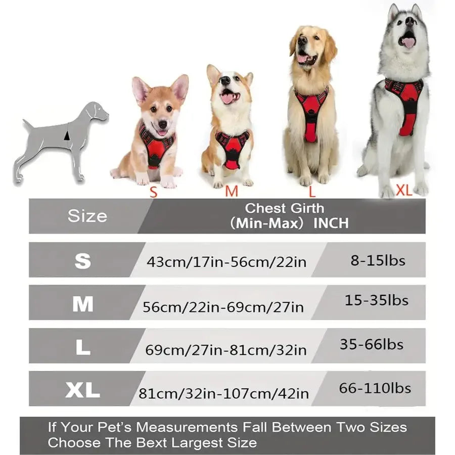 Colliers, harnais, laisses et accessoires pour chiens (toutes tailles) – Tout pour les chiens : cuir, modèles pour chiots, petits et grands chiens.