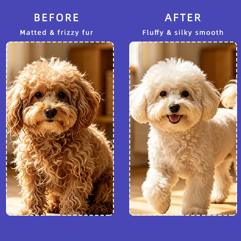 Shampoing hypoallergénique pour chiens et chats – Désodorisant et hydratant, parfum longue durée, pour un pelage doux – Solution pour le toilettage quotidien