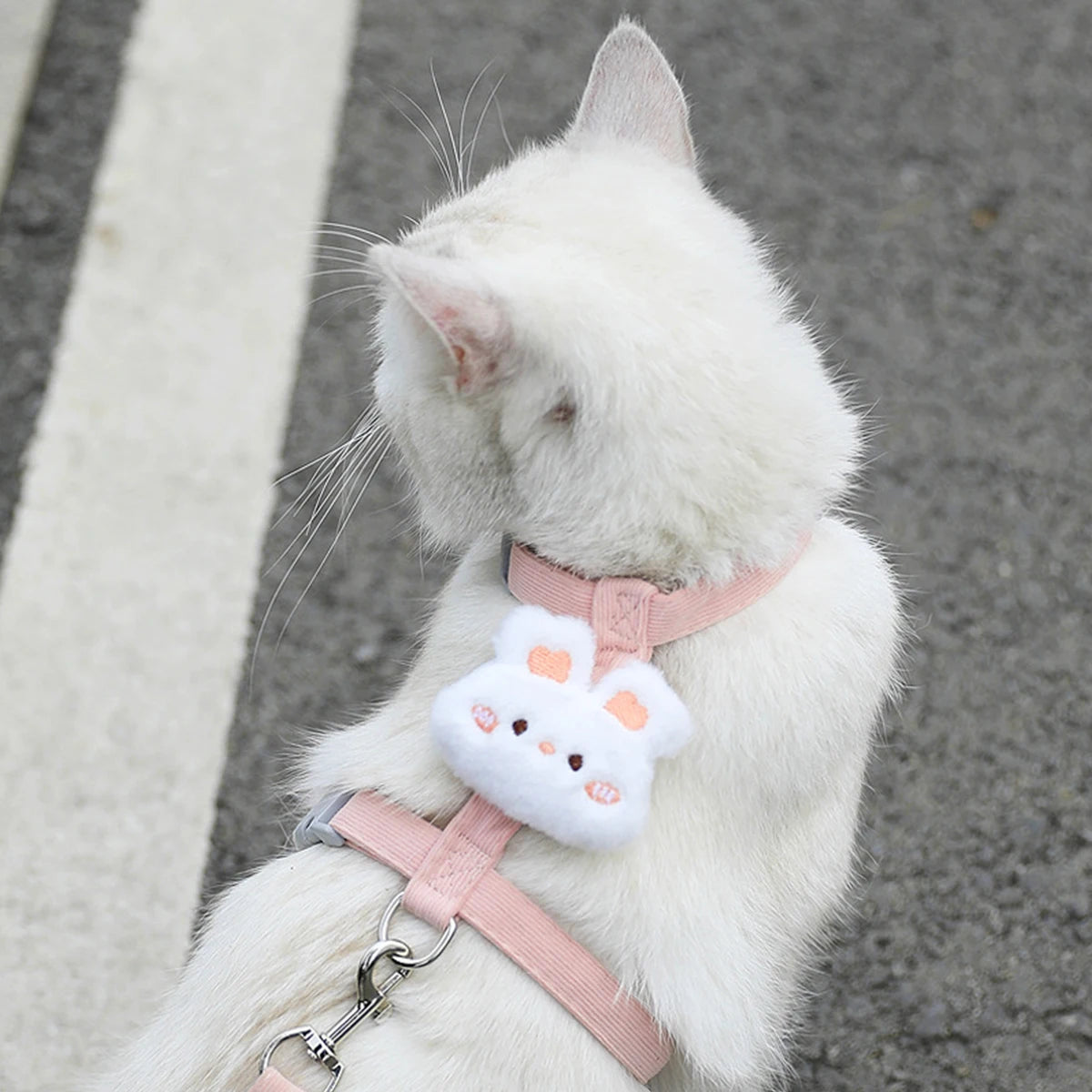 Ensemble harnais et laisse pour chat ou petit chien – Harnais réglable et respirant pour promenades