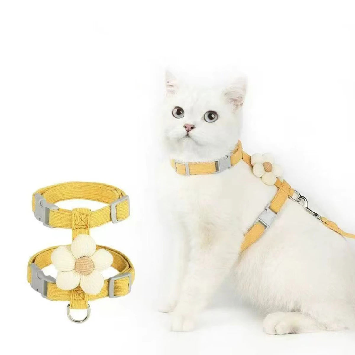 Ensemble harnais et laisse pour chat ou petit chien – Harnais réglable et respirant pour promenades