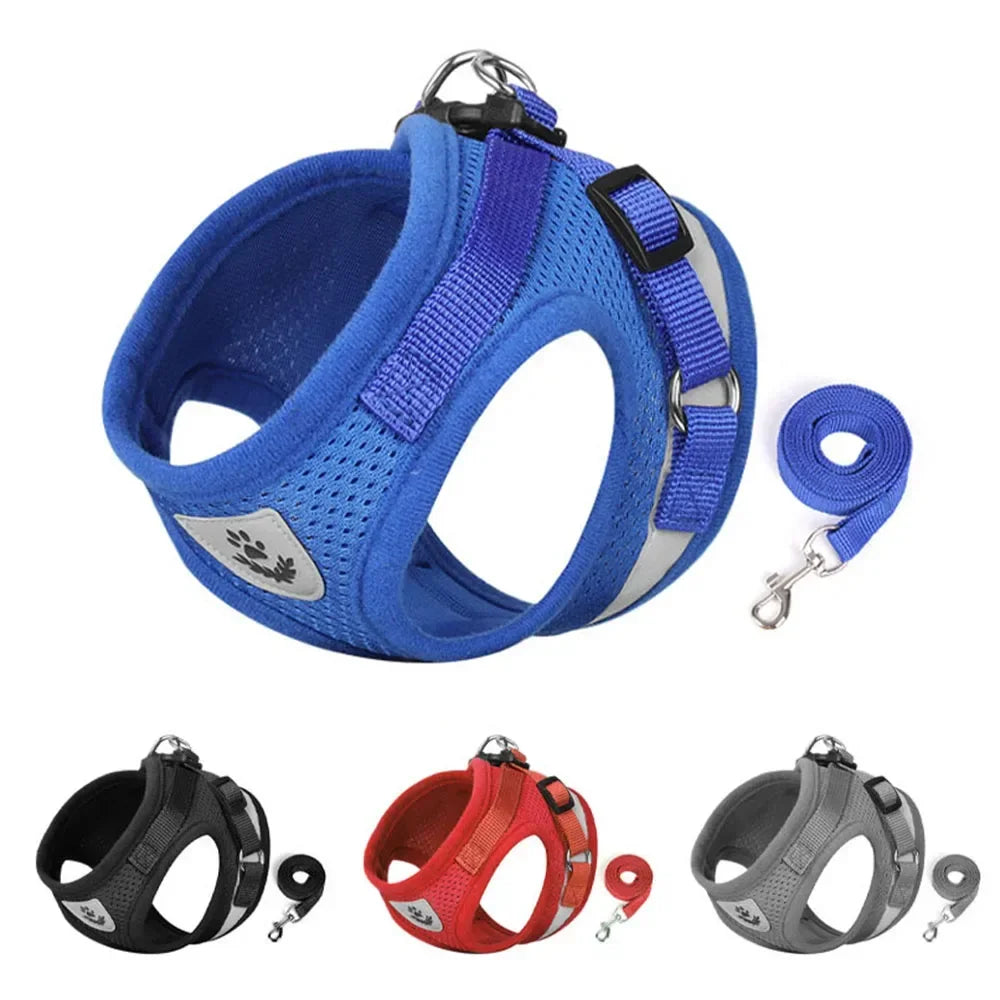 Ensemble harnais et laisse pour chat – Réglable, réfléchissant et anti-évasion – Harnais-gilet en maille respirante, collier pour chiot ou petit chien – Accessoires pour animaux
