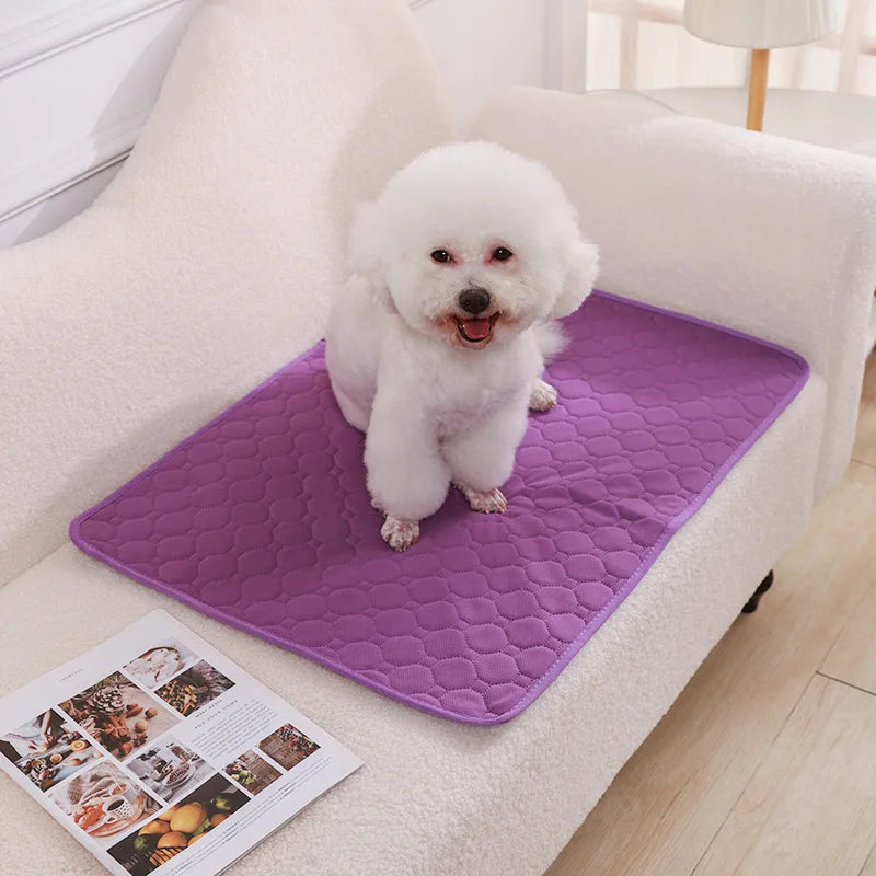 Alèse absorbante et réutilisable pour chien – Tapis d'apprentissage de la propreté lavable, tapis de sol ou protection de siège auto pour animaux