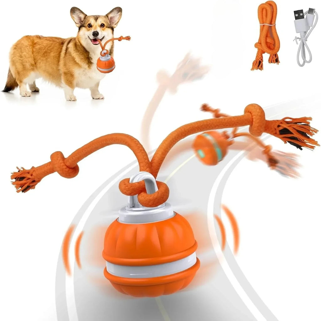 Jouet interactif pour chiens : balle roulante activée par le mouvement pour chiots et petits chiens – Jouet à déplacement automatique rechargeable par USB