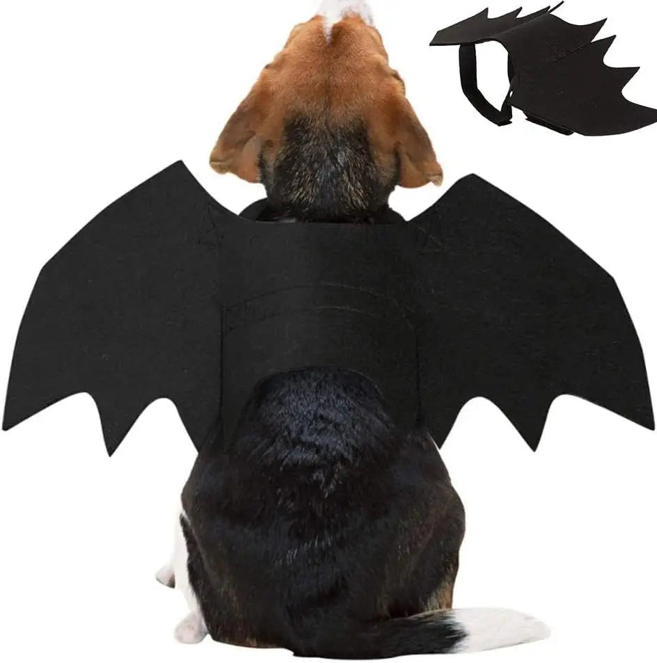 Vente en gros : Costume de cosplay mignon pour animal (chat/chien) – Ailes de chauve-souris noires avec sangle de sécurité – Accessoire pour jeux de rôle et décoration de fête d'Halloween.