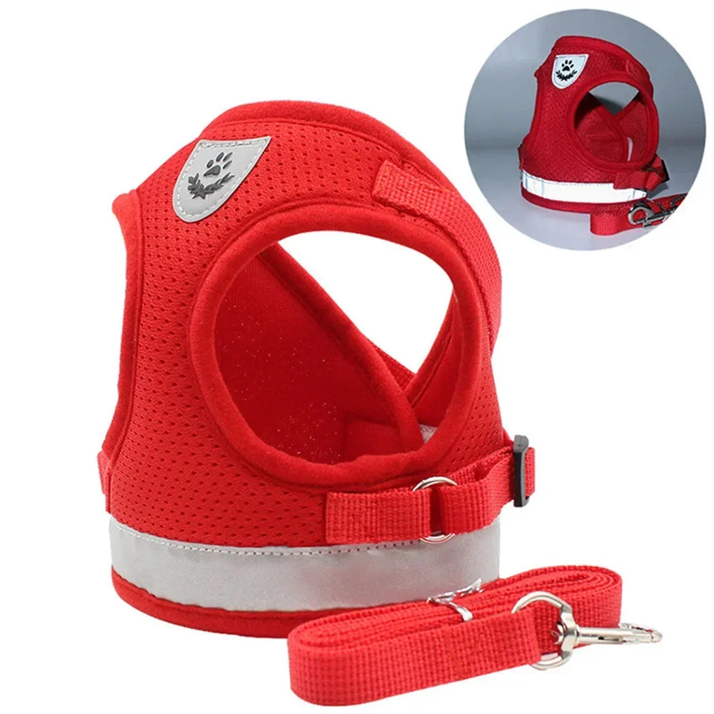 Ensemble harnais et laisse pour chat – Réglable, réfléchissant et anti-évasion – Harnais-gilet en maille respirante, collier pour chiot ou petit chien – Accessoires pour animaux