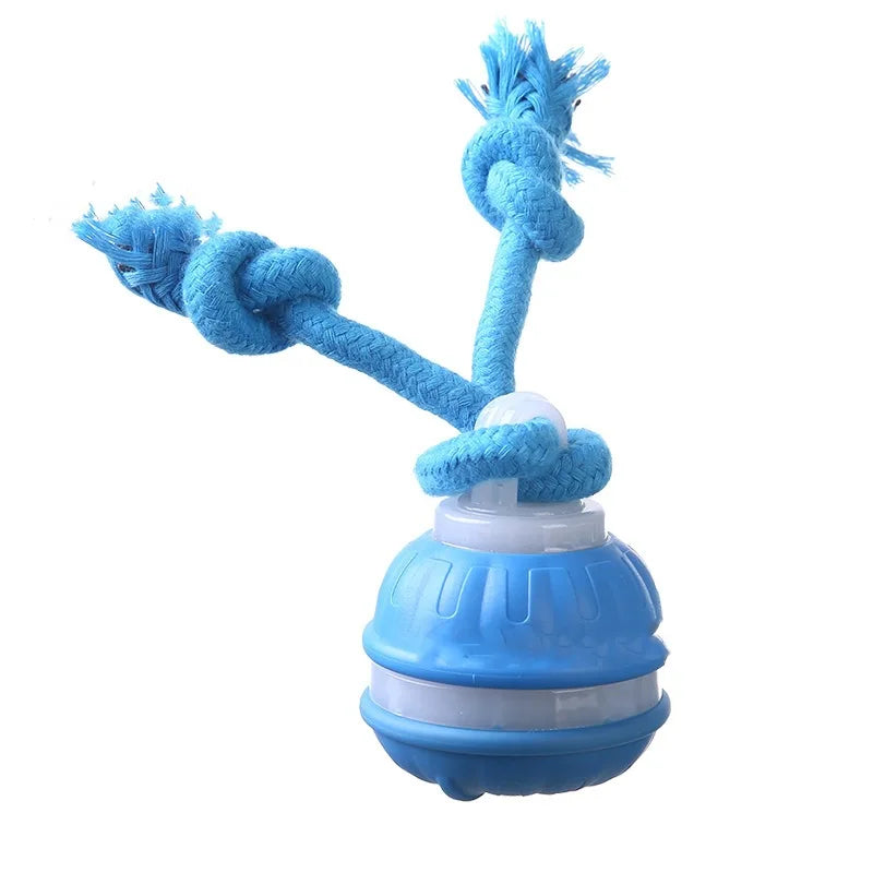 Jouet interactif pour chiens : balle roulante activée par le mouvement pour chiots et petits chiens – Jouet à déplacement automatique rechargeable par USB