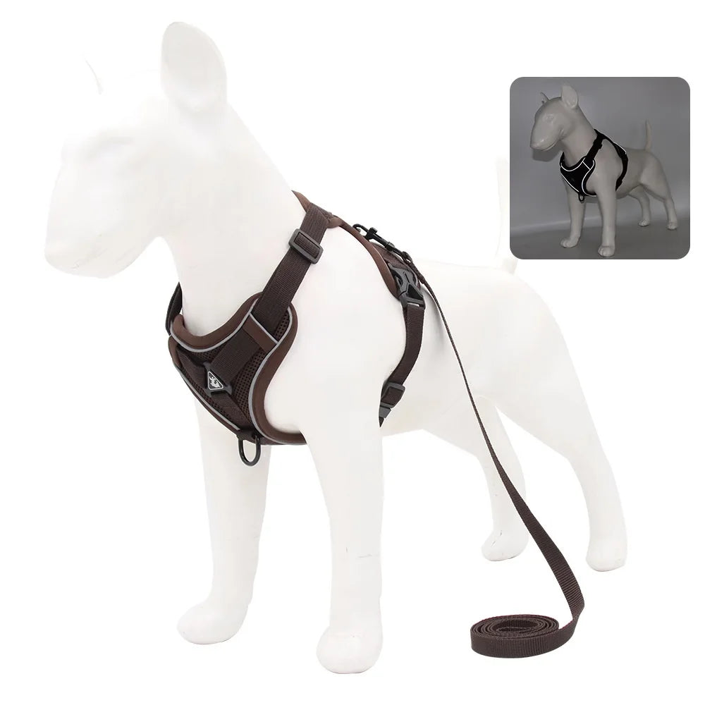 Ensemble harnais et laisse pour animaux – Harnais pour petits chiens