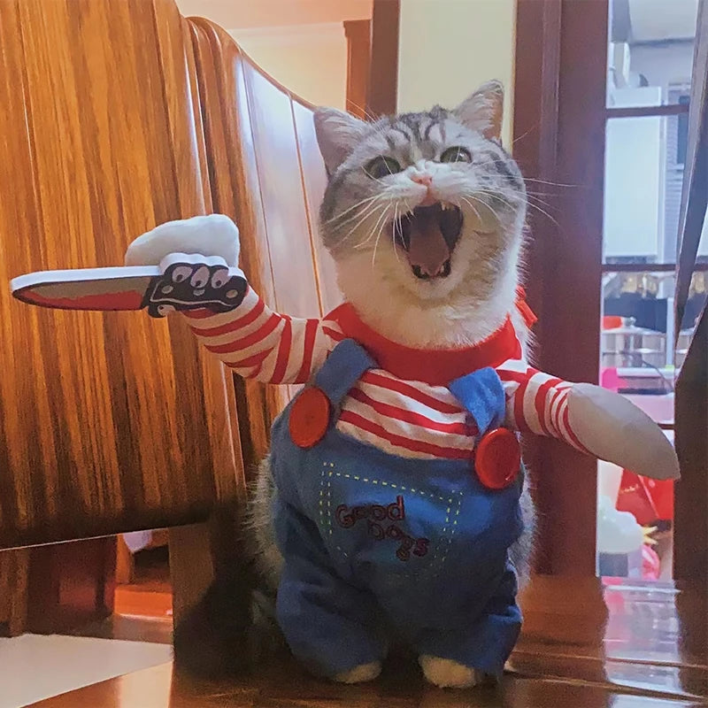 Costumes de cosplay amusants pour chats et chiens (petites et moyennes tailles) – Tenues créatives pour fêtes d'animaux, combinaisons douces et chaudes pour chatons