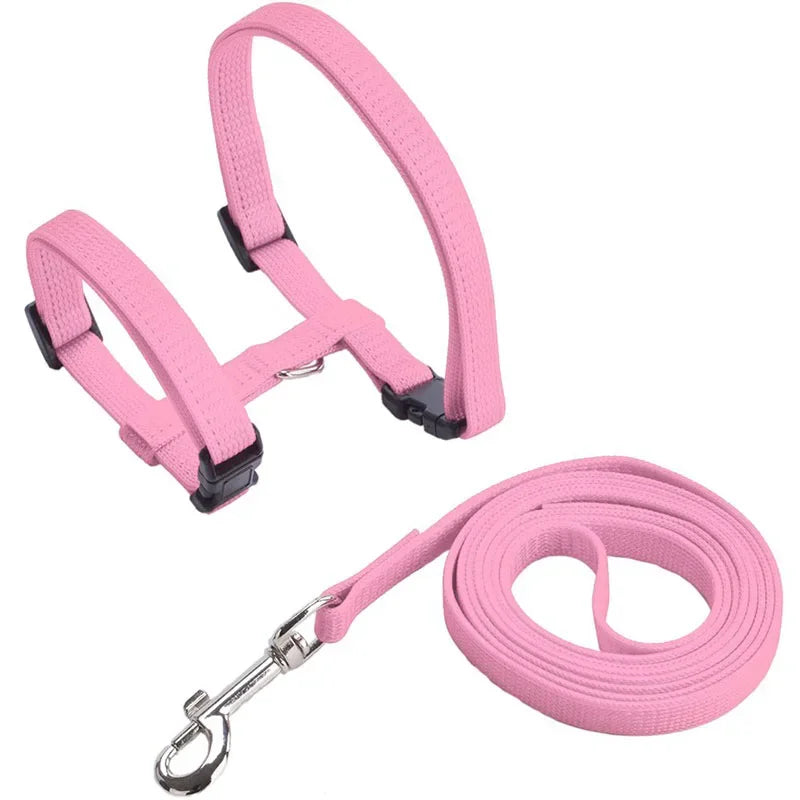 Ensemble harnais et laisse pour chaton – Harnais réglable en nylon anti-évasion pour chats, chiots et lapins – Accessoires pour animaux